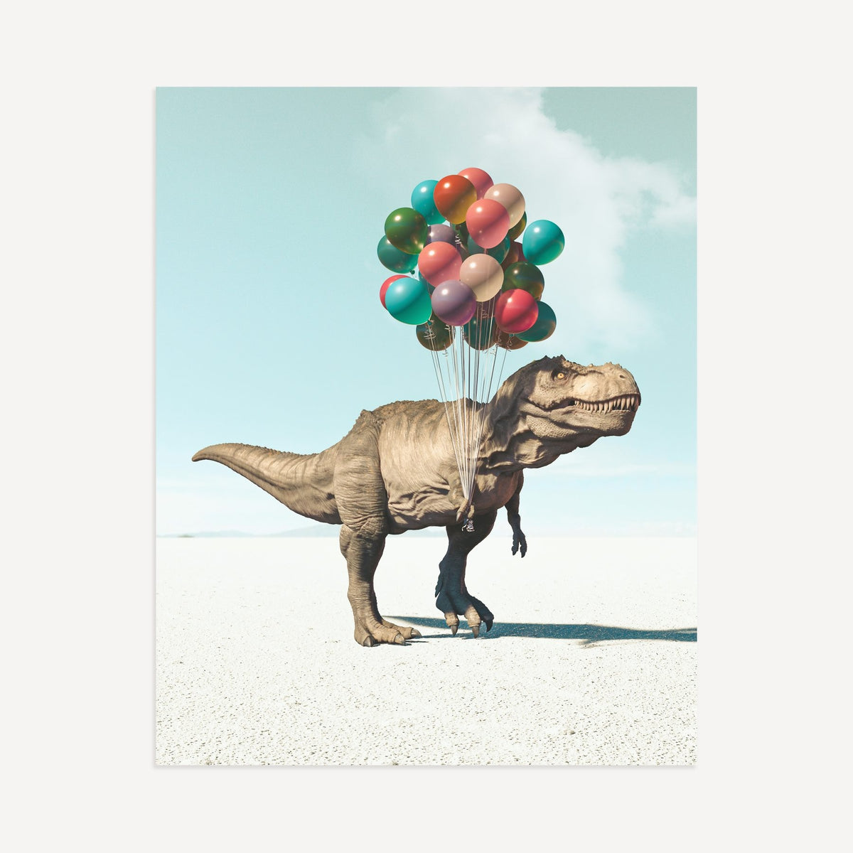 Up, Up & Away Collection