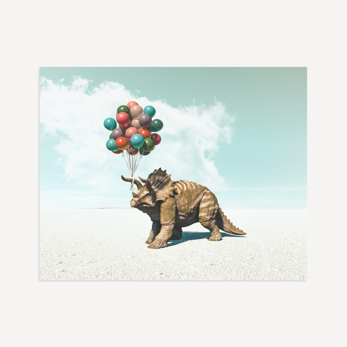 Up, Up & Away Collection