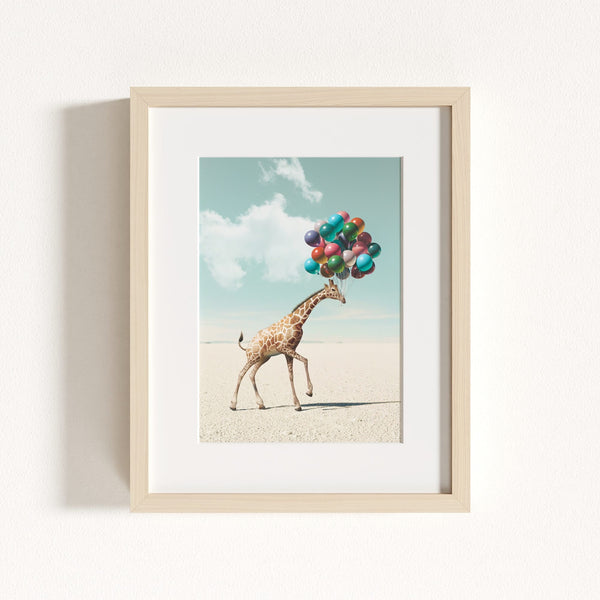 Up, Up & Away Collection