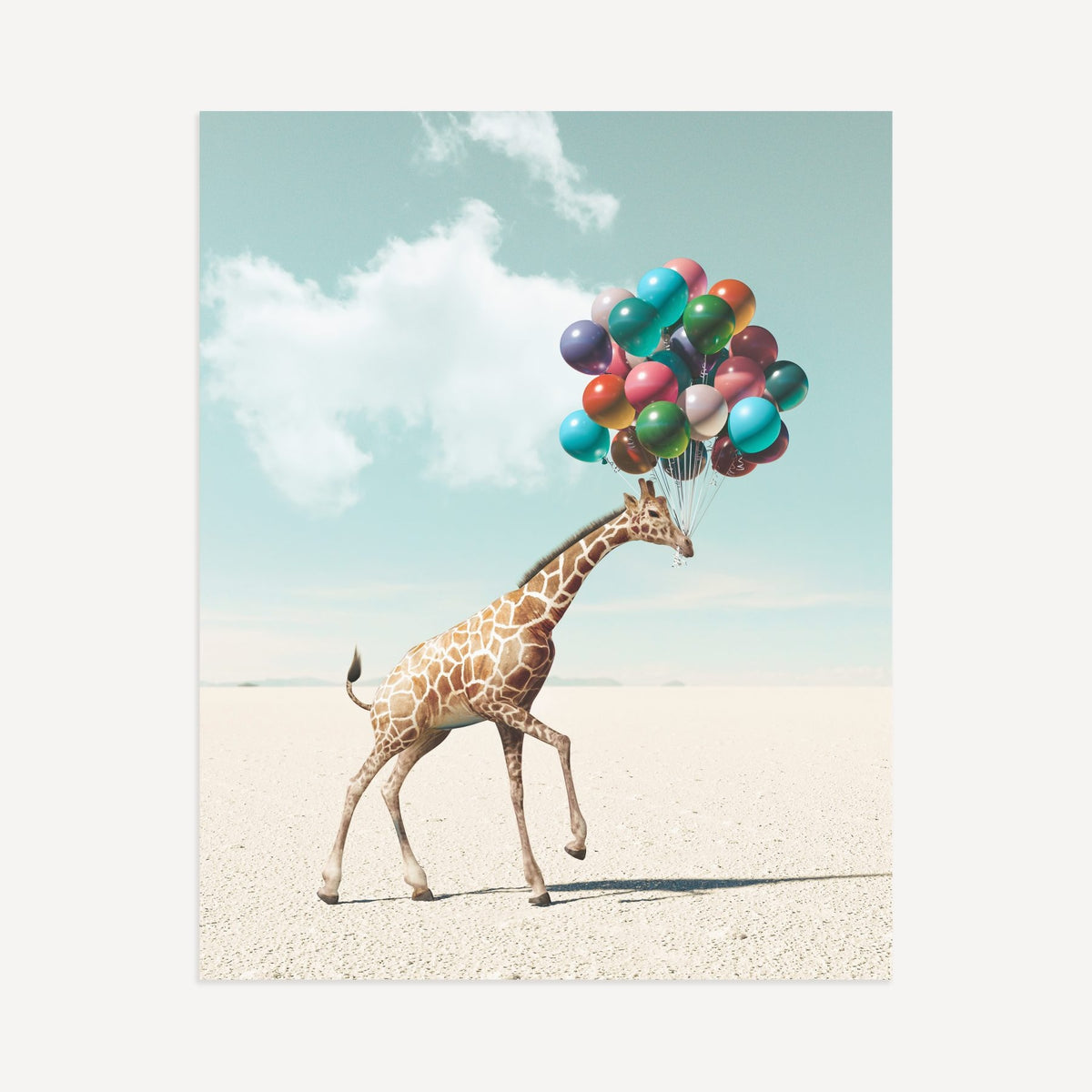 Up, Up & Away Collection
