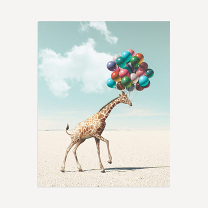 Up, Up & Away Collection