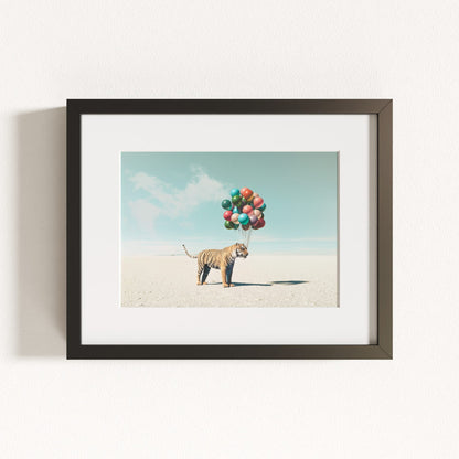 Up, Up & Away Collection