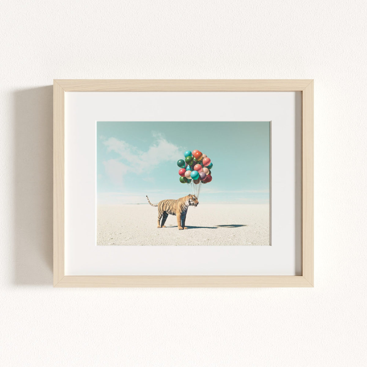 Up, Up & Away Collection