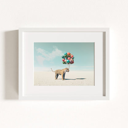 Up, Up & Away Collection