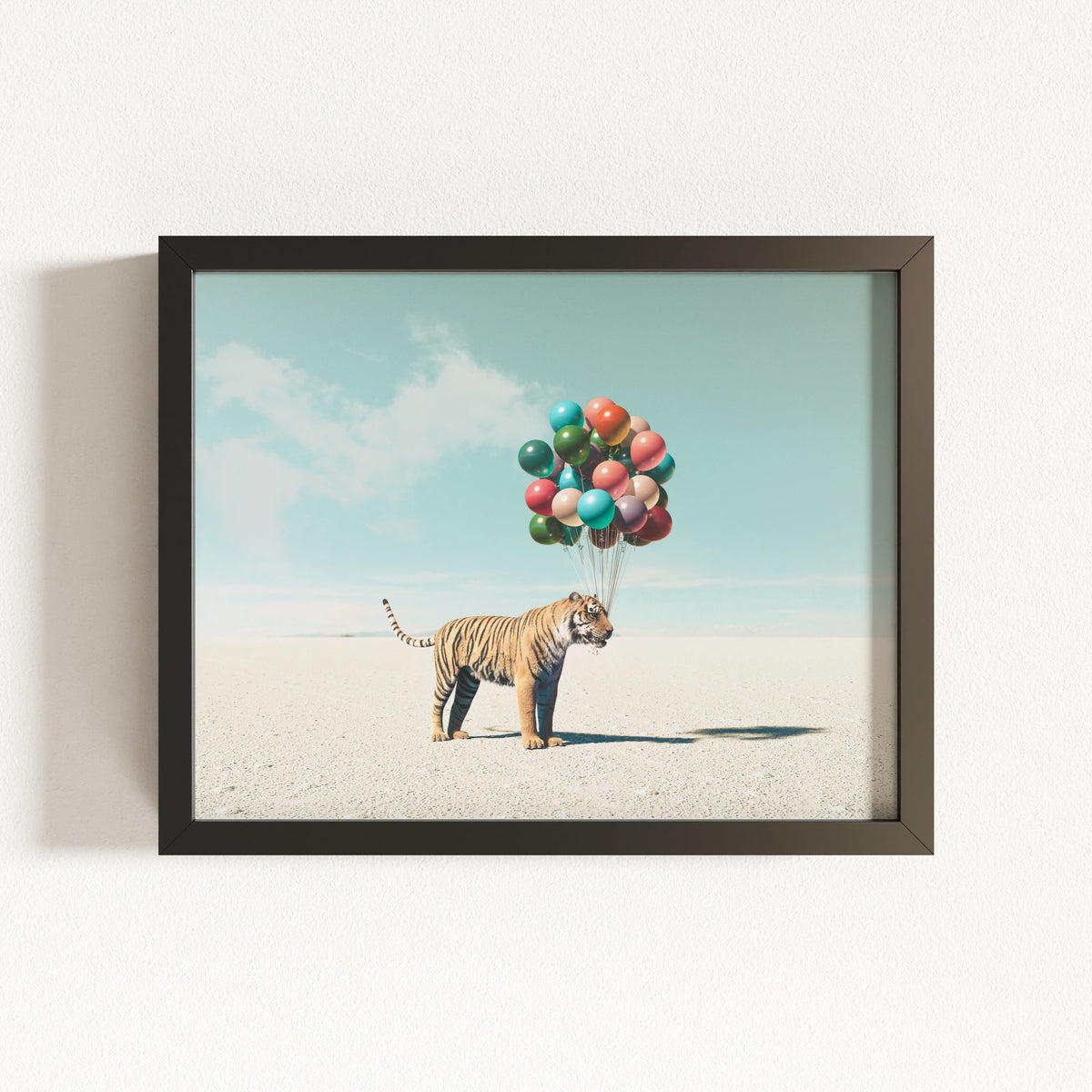 Up, Up & Away Collection