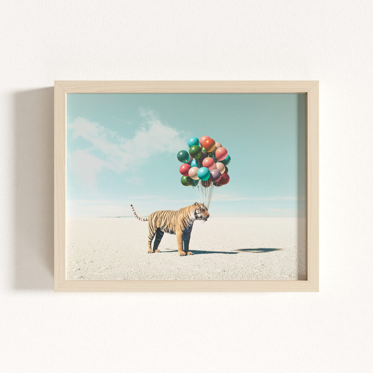 Up, Up & Away Collection