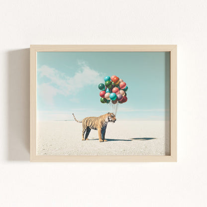 Up, Up & Away Collection
