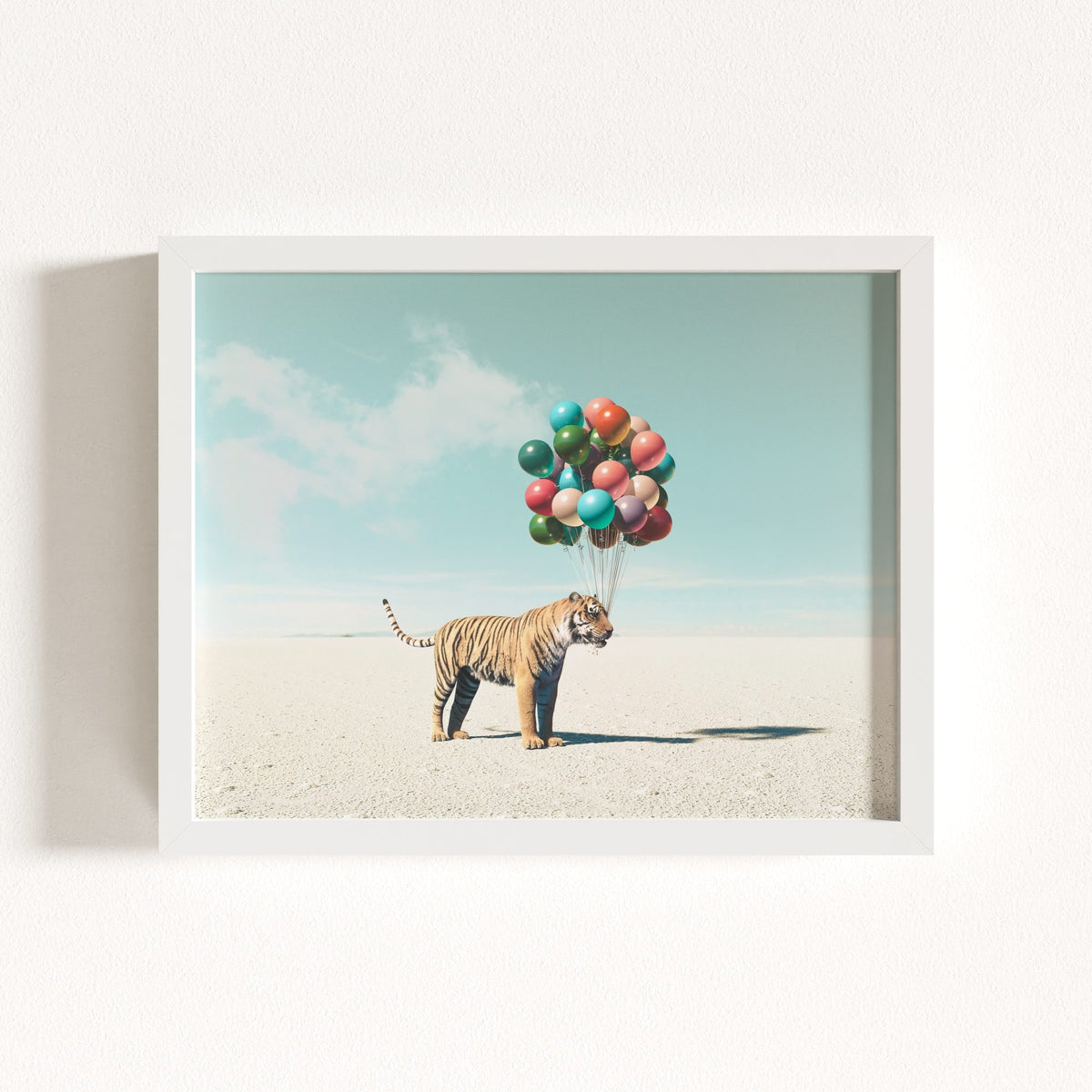 Up, Up & Away Collection