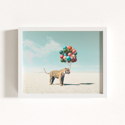Up, Up & Away Collection
