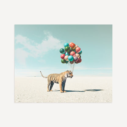 Up, Up & Away Collection