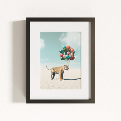 Up, Up & Away Collection