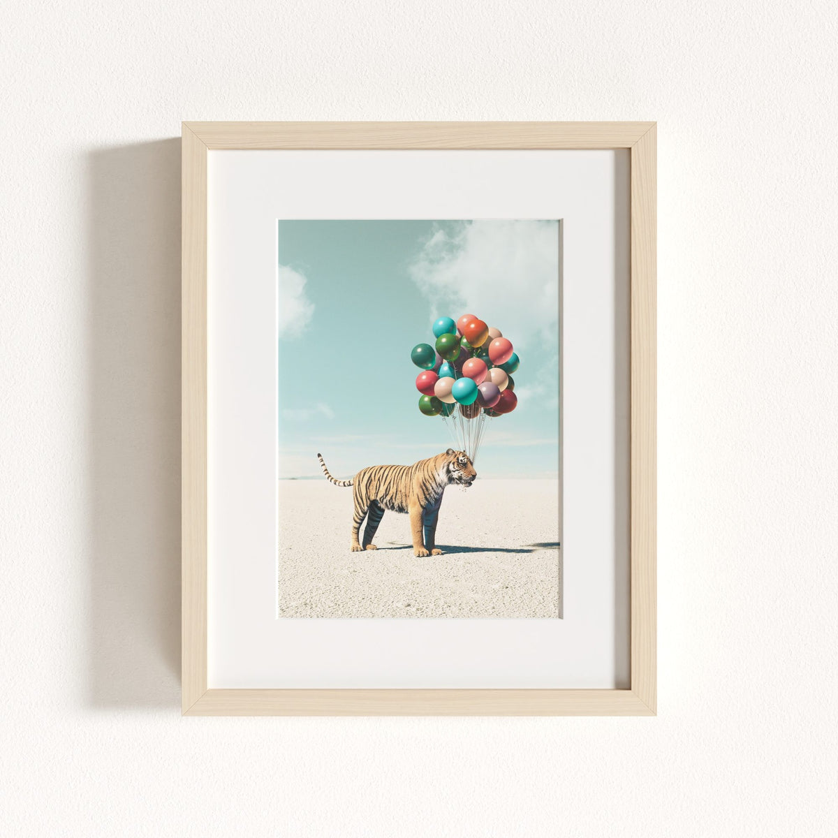 Up, Up & Away Collection