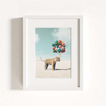 Up, Up & Away Collection