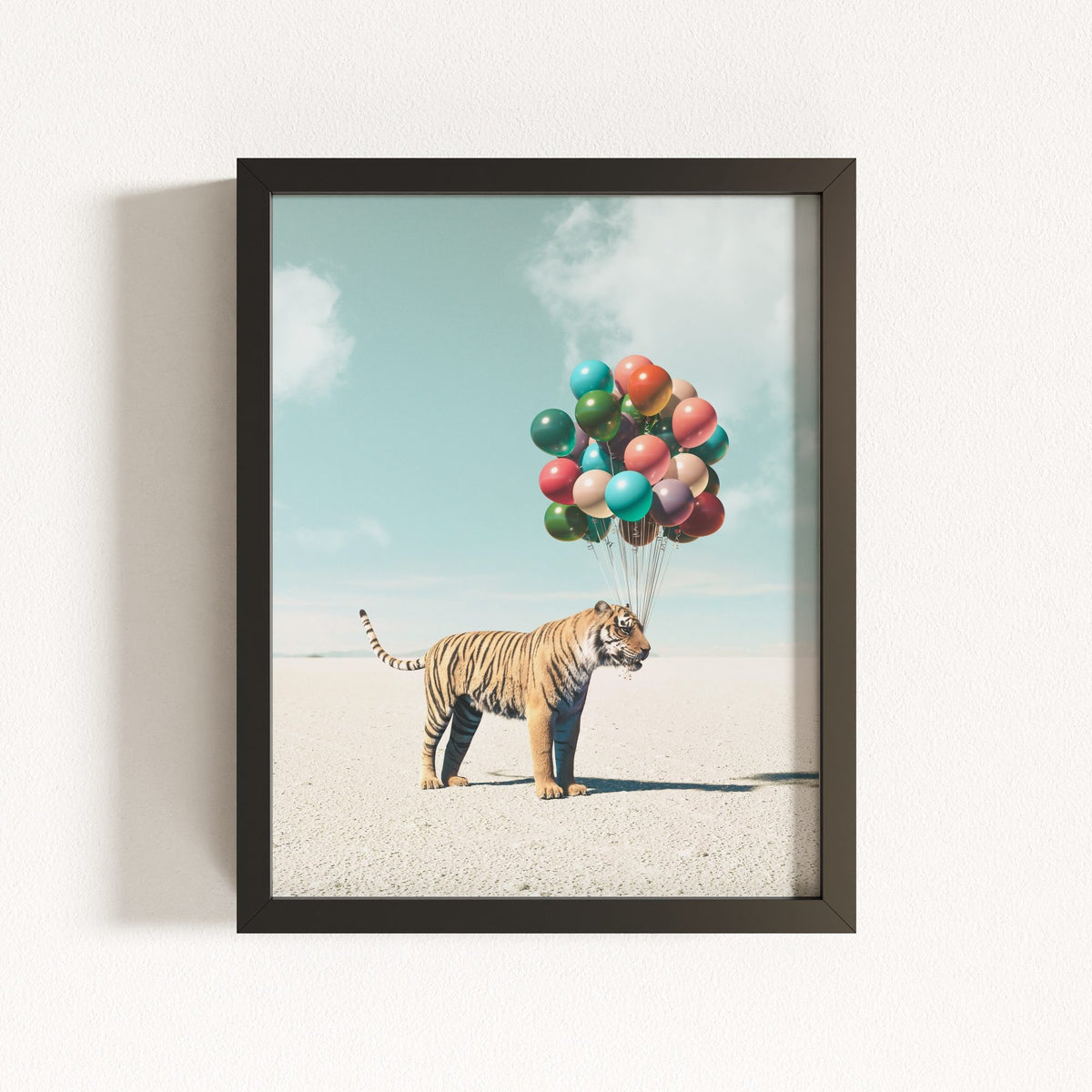 Up, Up & Away Collection