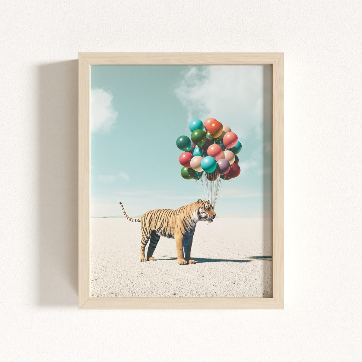 Up, Up & Away Collection