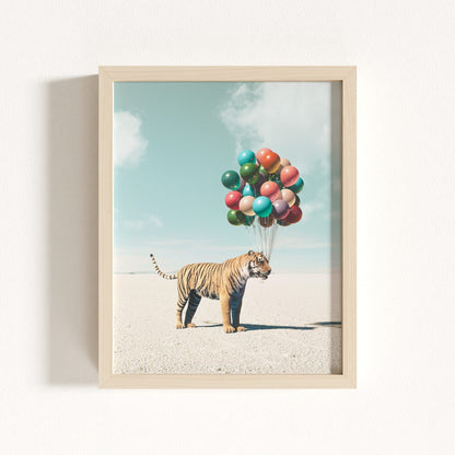 Up, Up & Away Collection