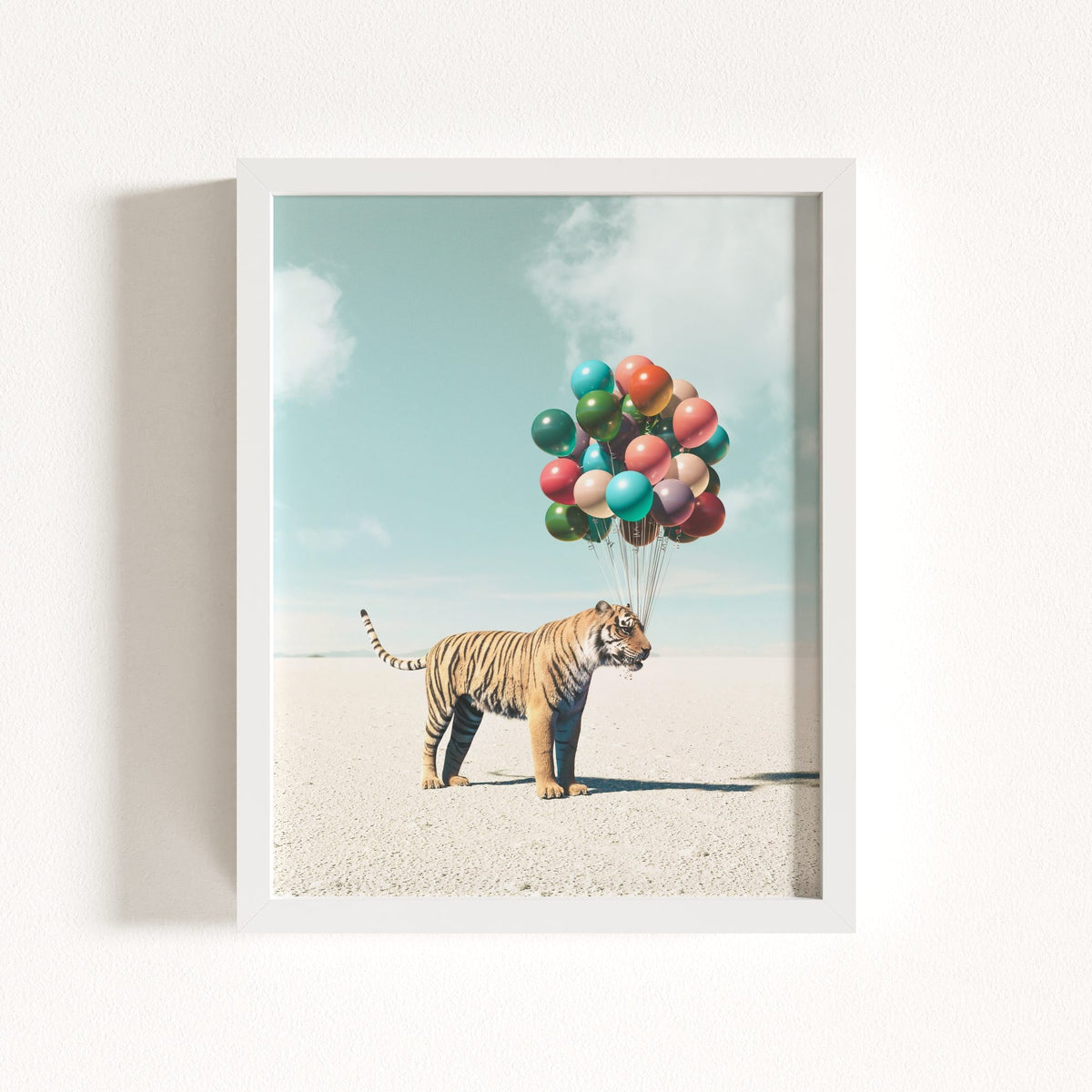Up, Up & Away Collection