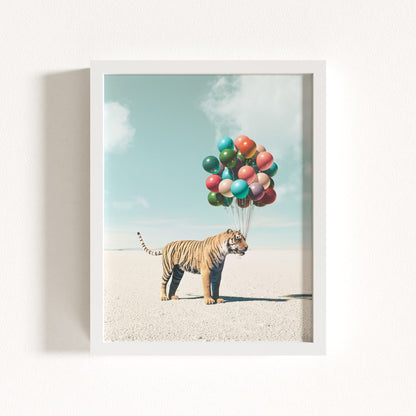 Up, Up & Away Collection