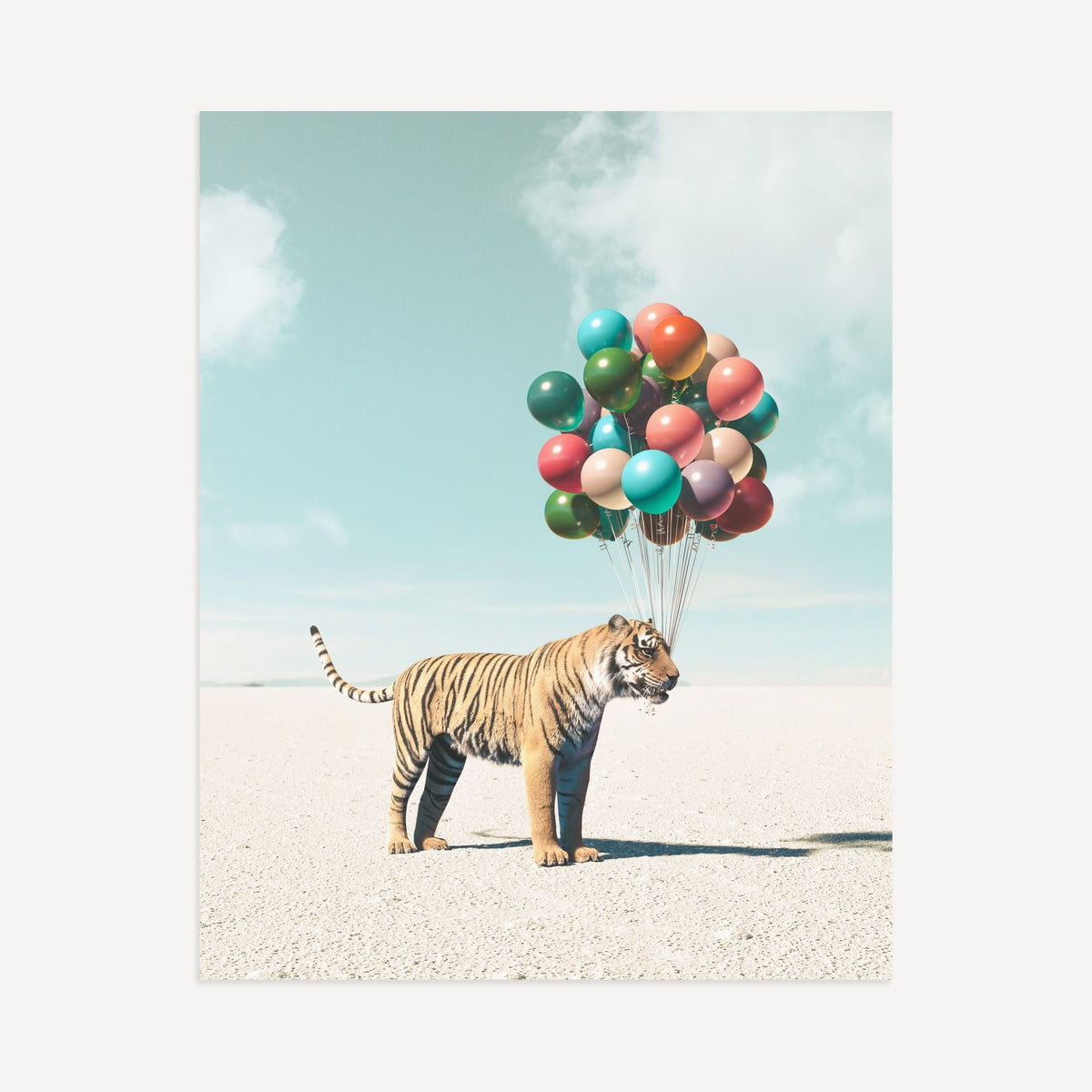 Up, Up & Away Collection