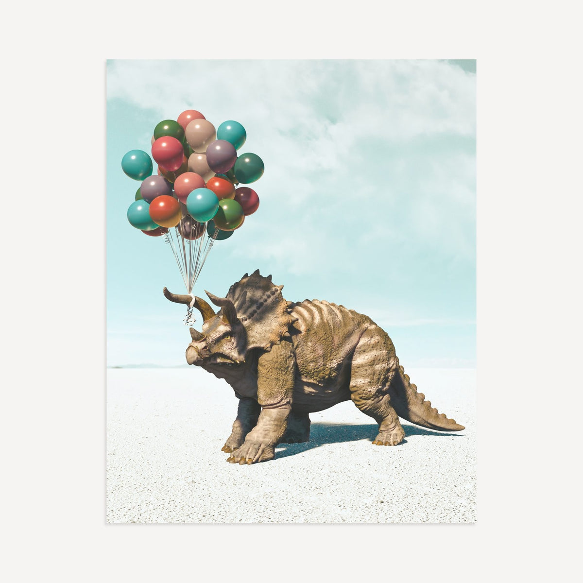 Up, Up & Away Collection