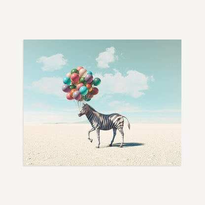 Up, Up & Away Collection