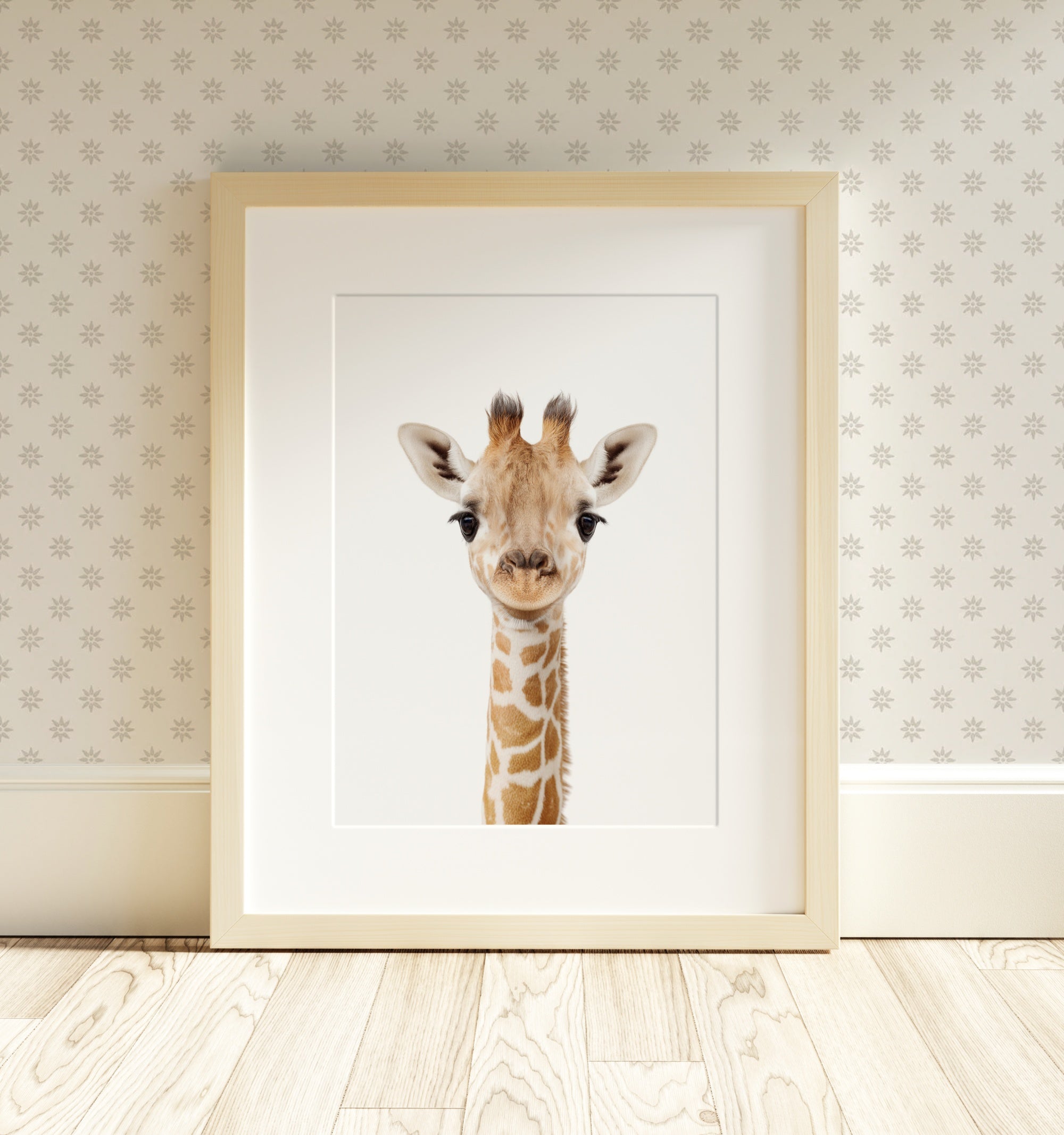 The Baby Animals 2026 Collection - Classic