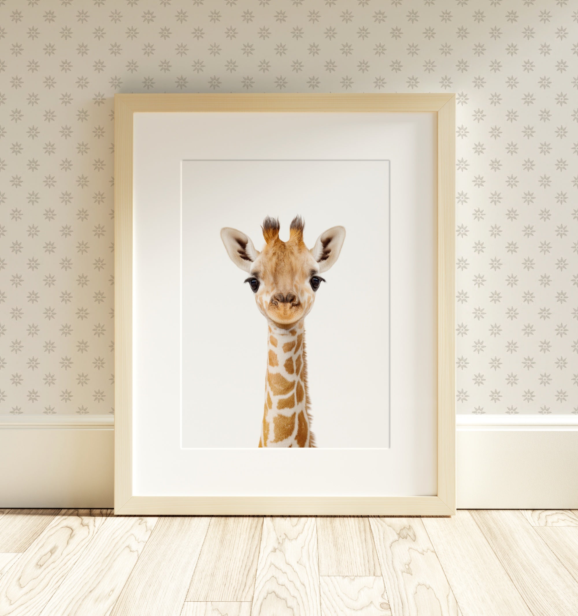 The Baby Animals 2026 Collection - Classic