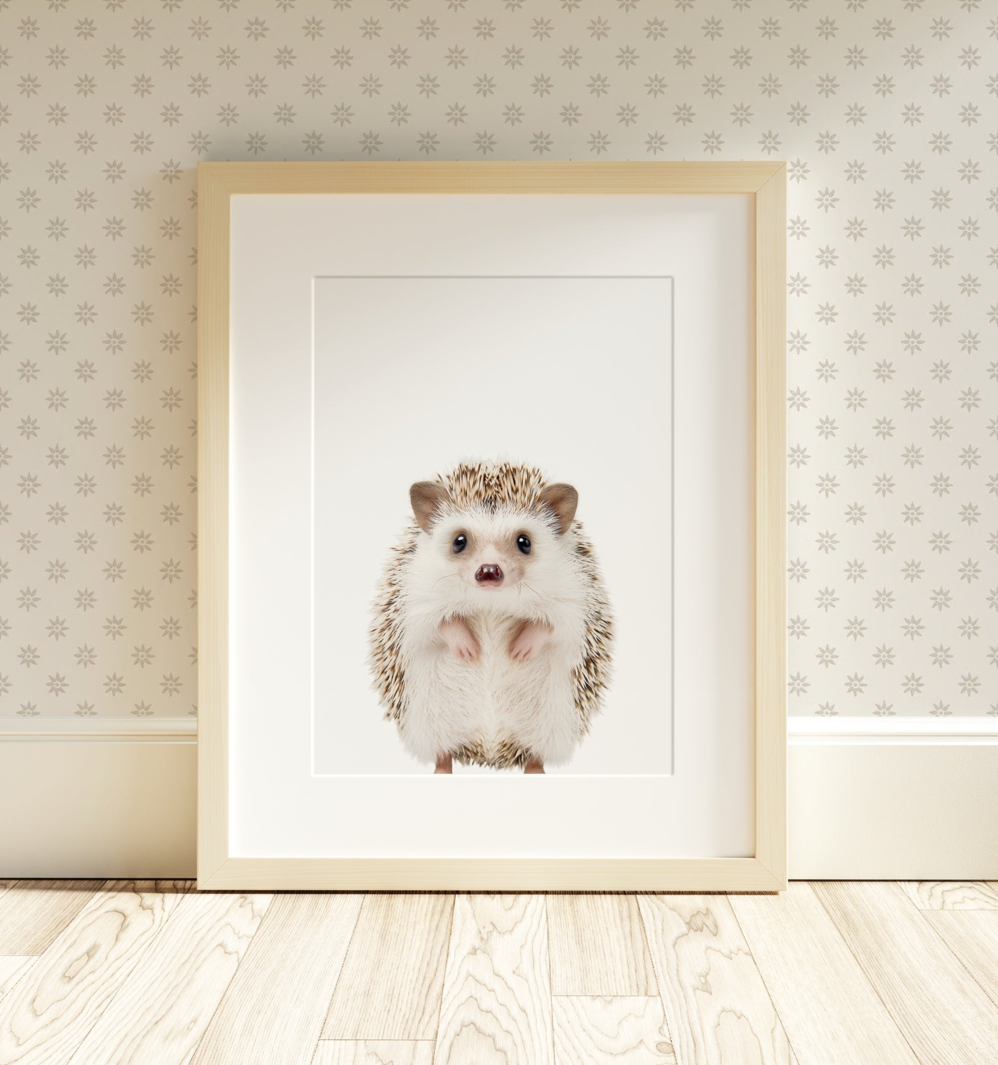 The Baby Animals 2026 Collection - Classic