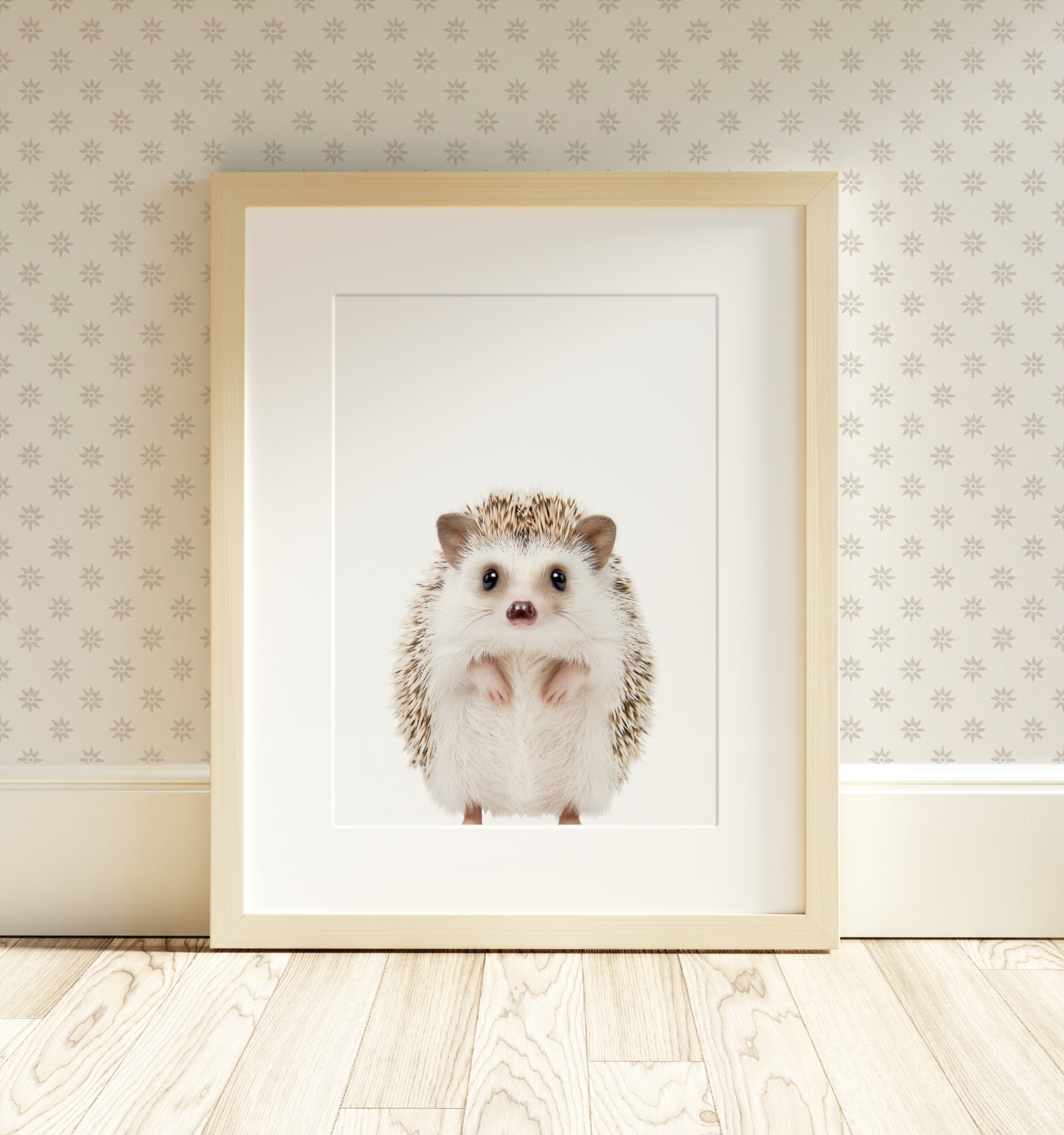 The Baby Animals 2026 Collection - Classic