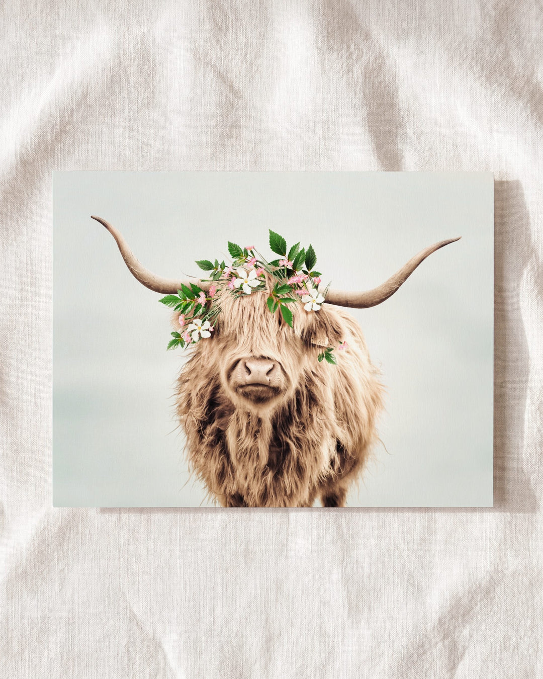 Highland Cow with Flower Crown