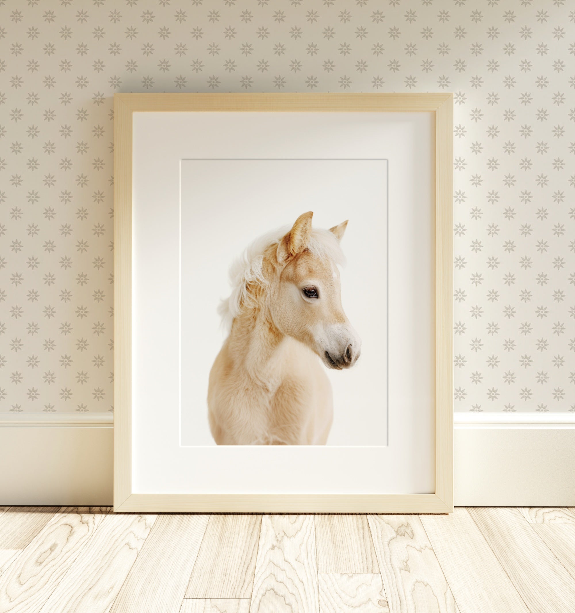 The Baby Animals 2026 Collection - Classic