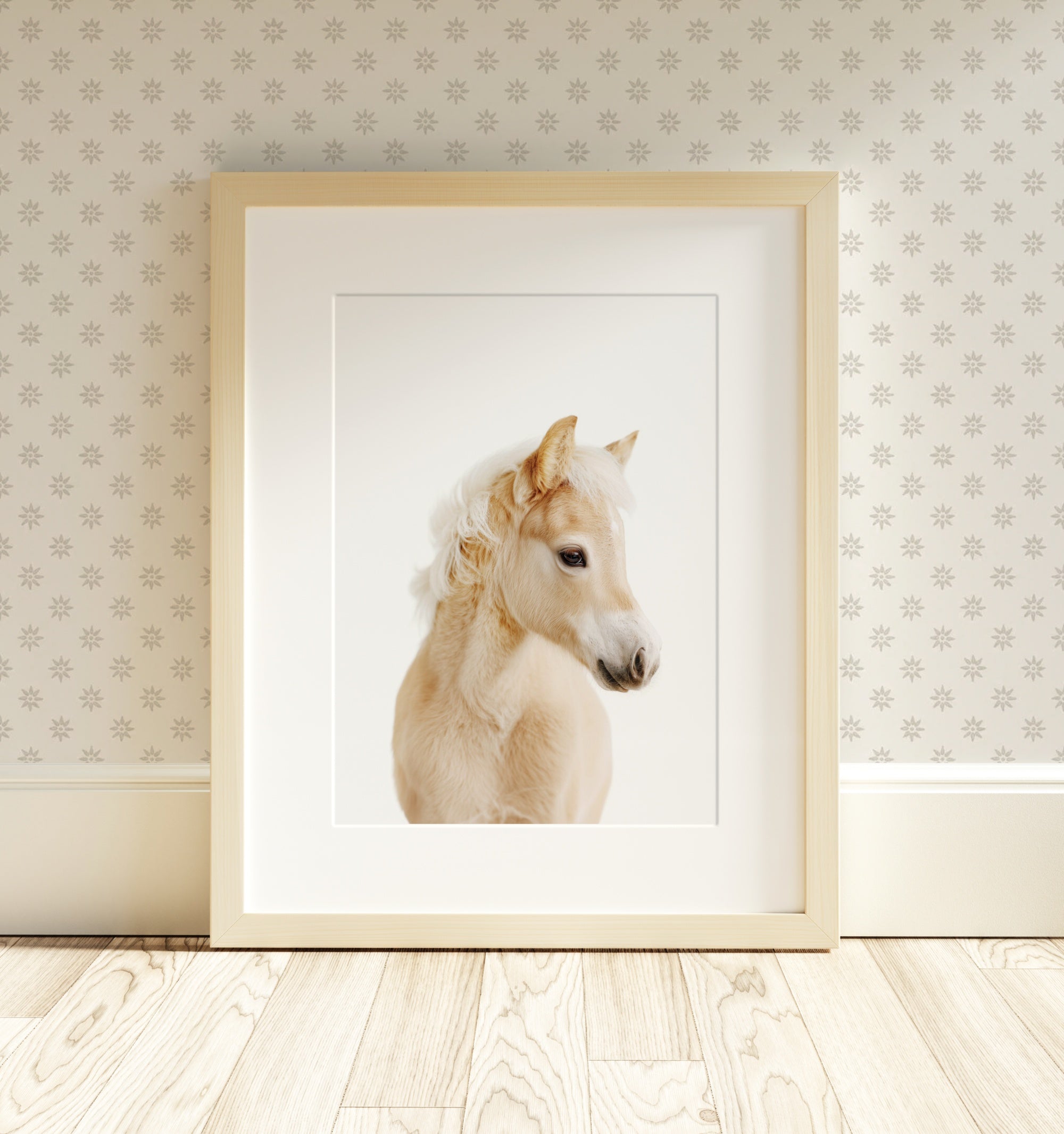 The Baby Animals 2026 Collection - Classic