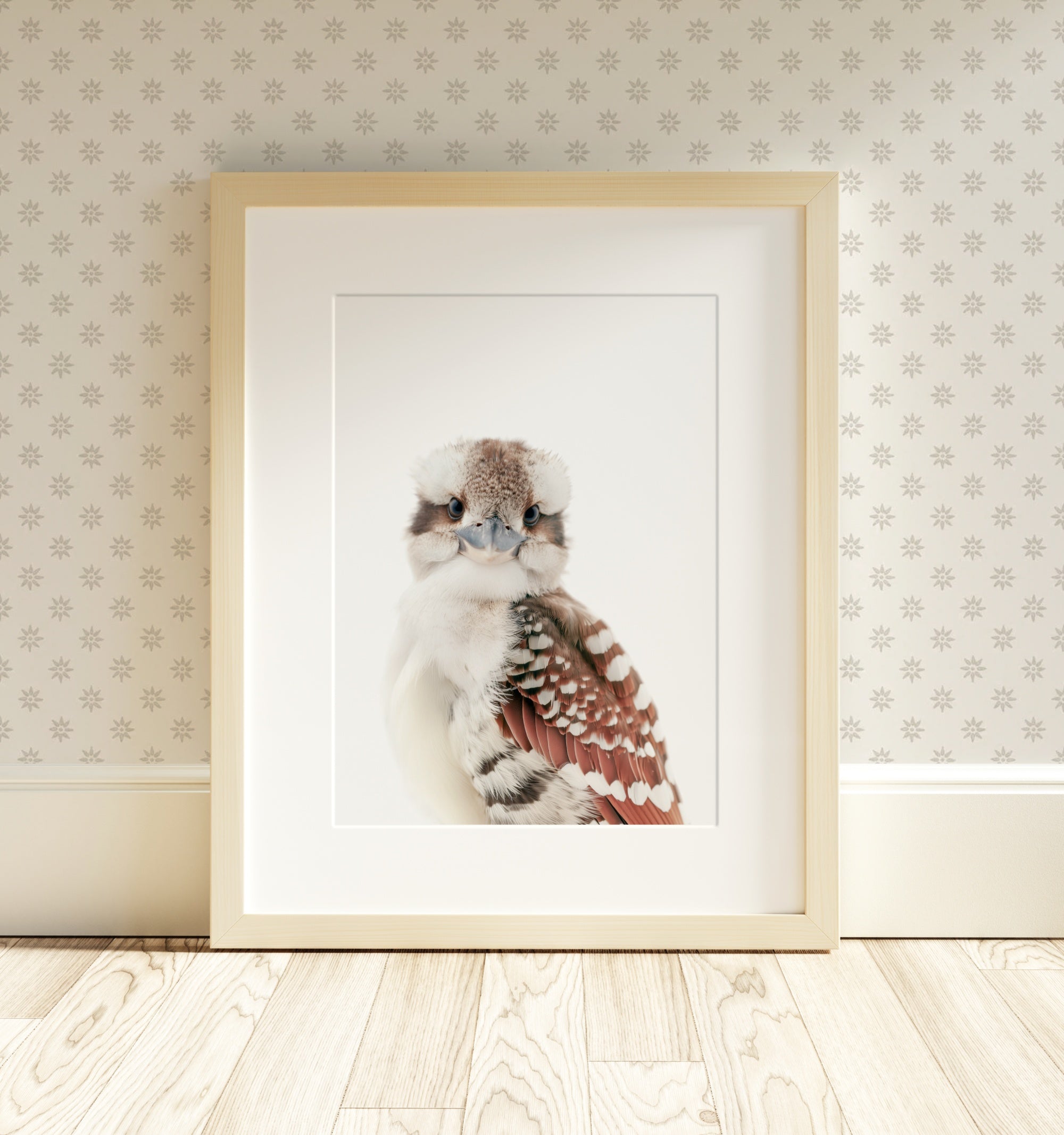 The Baby Animals 2026 Collection - Classic