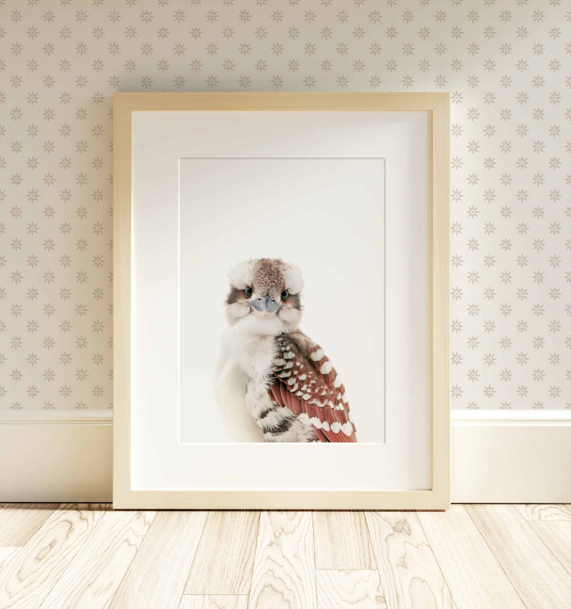 The Baby Animals 2026 Collection - Classic