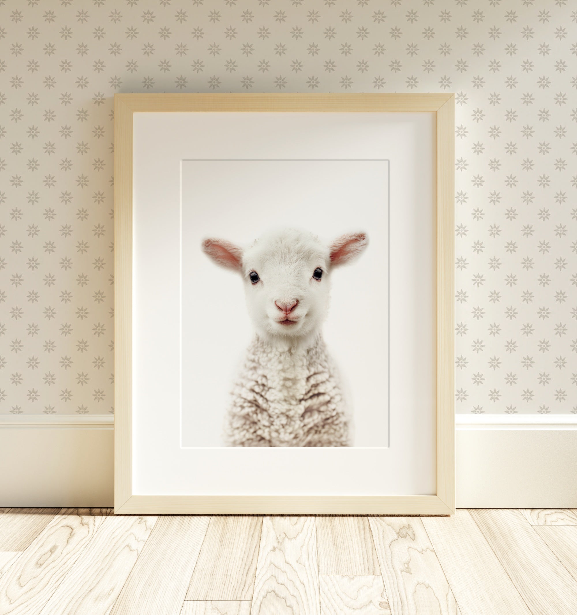 The Baby Animals 2026 Collection - Classic