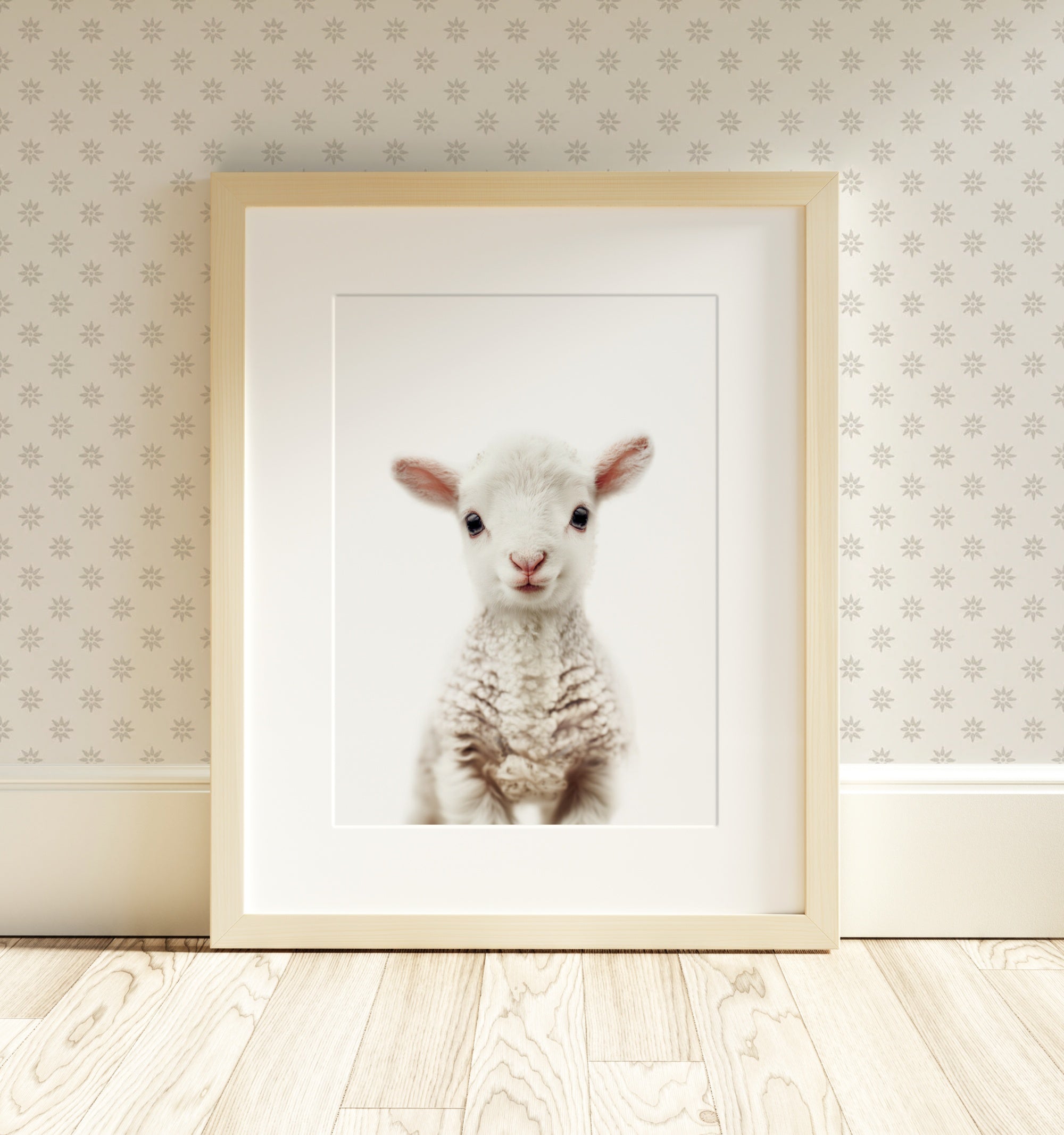 The Baby Animals 2026 Collection - Classic