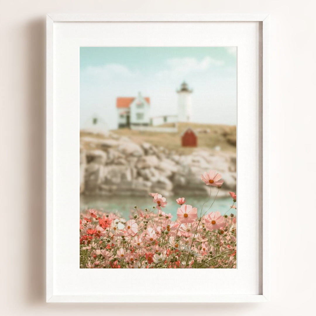 Lighthouse Wildflowers