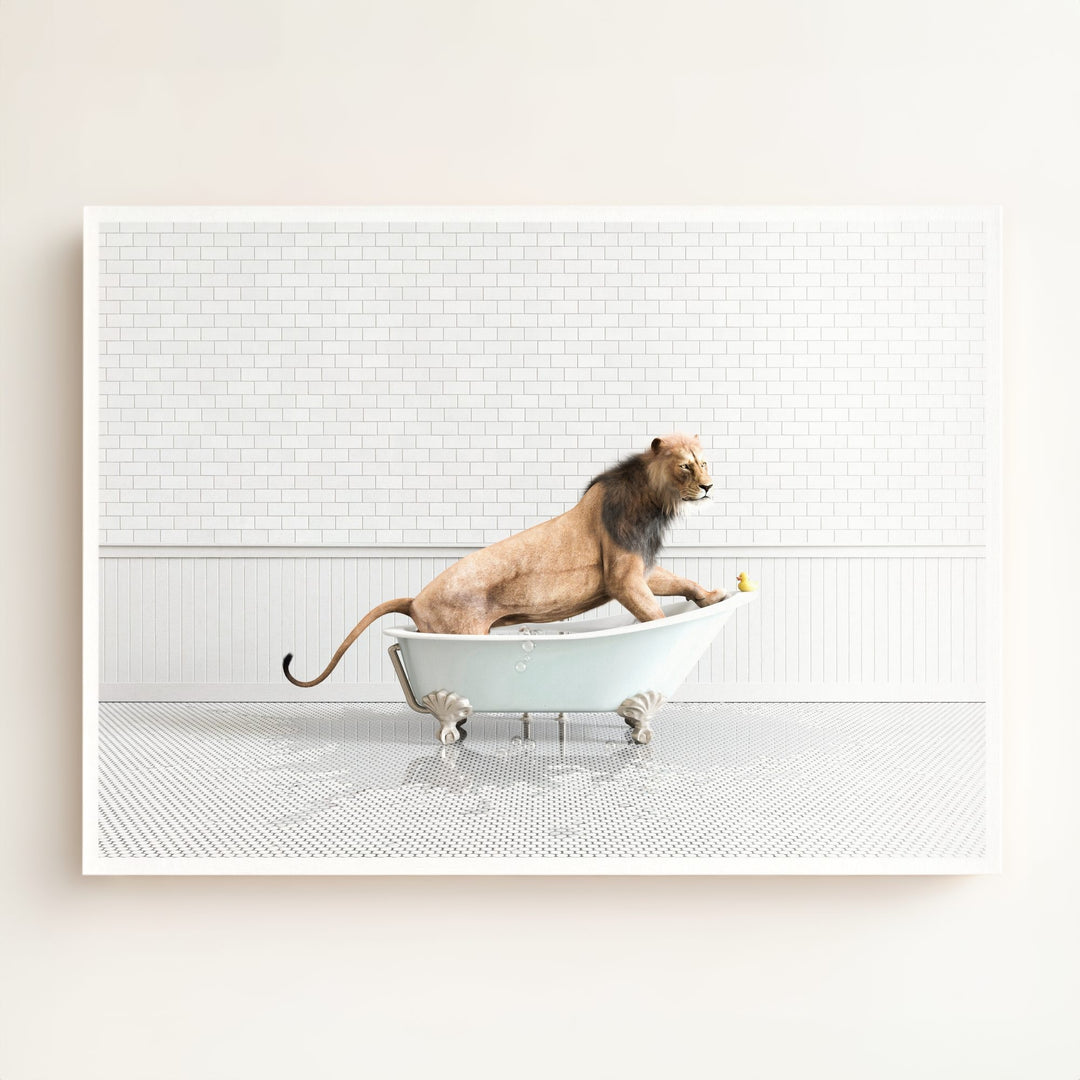 Lion in Blue Bathtub