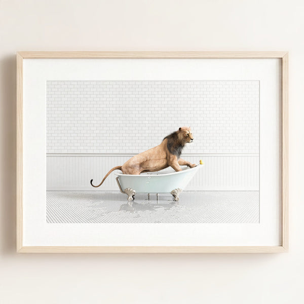 Lion in Blue Bathtub