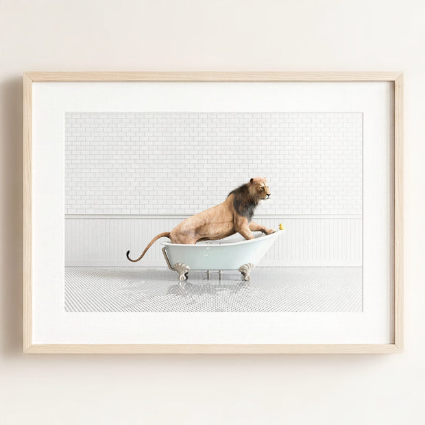 Lion in Blue Bathtub