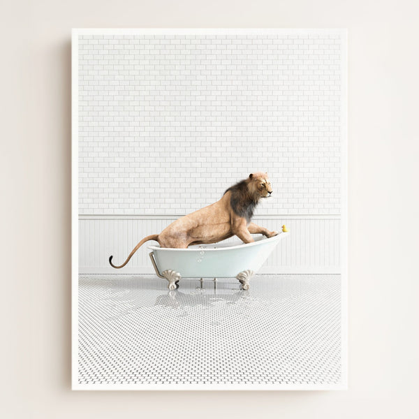 Lion in Blue Bathtub