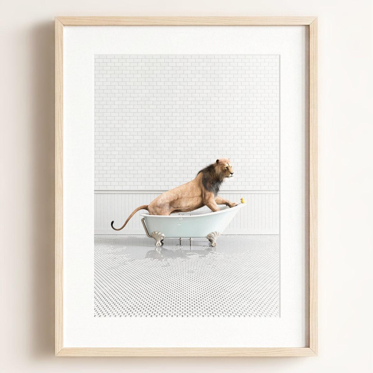 Lion in Blue Bathtub — Framed