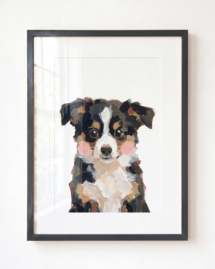 Little Painted Dog-Australian-Shepherd