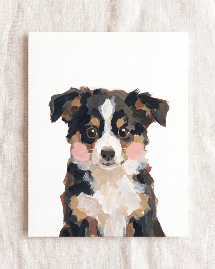 Little Painted Dog-Australian-Shepherd