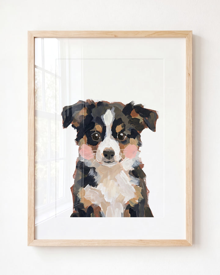 Little Painted Dog-Australian-Shepherd