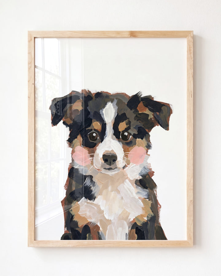 Little Painted Dog-Australian-Shepherd