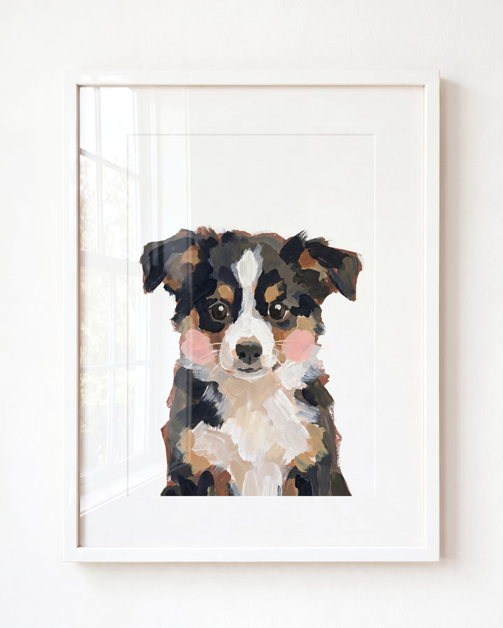Little Painted Dog-Australian-Shepherd