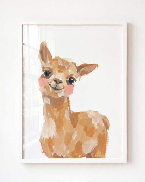 Little Painted Llama