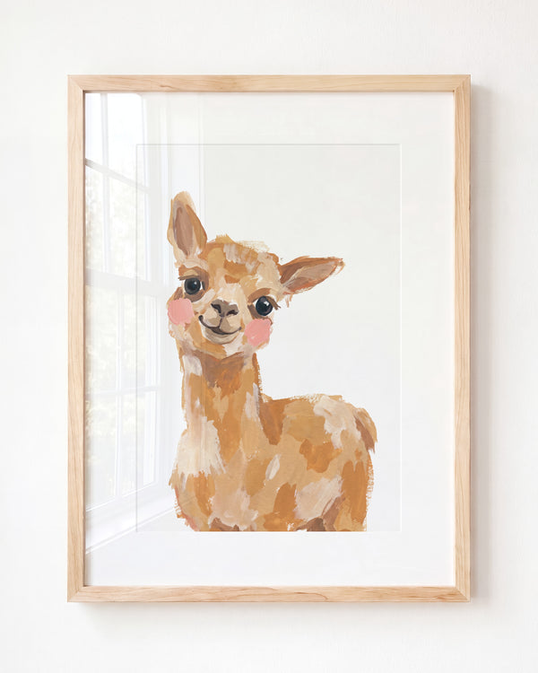 Little Painted Llama
