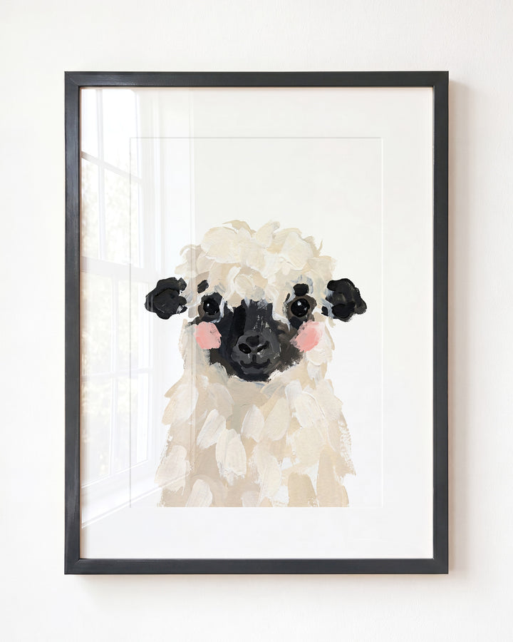 Little Painted Sheep-Blacknose